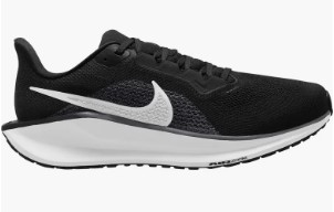 Nike Pegasus Nike Pegasus