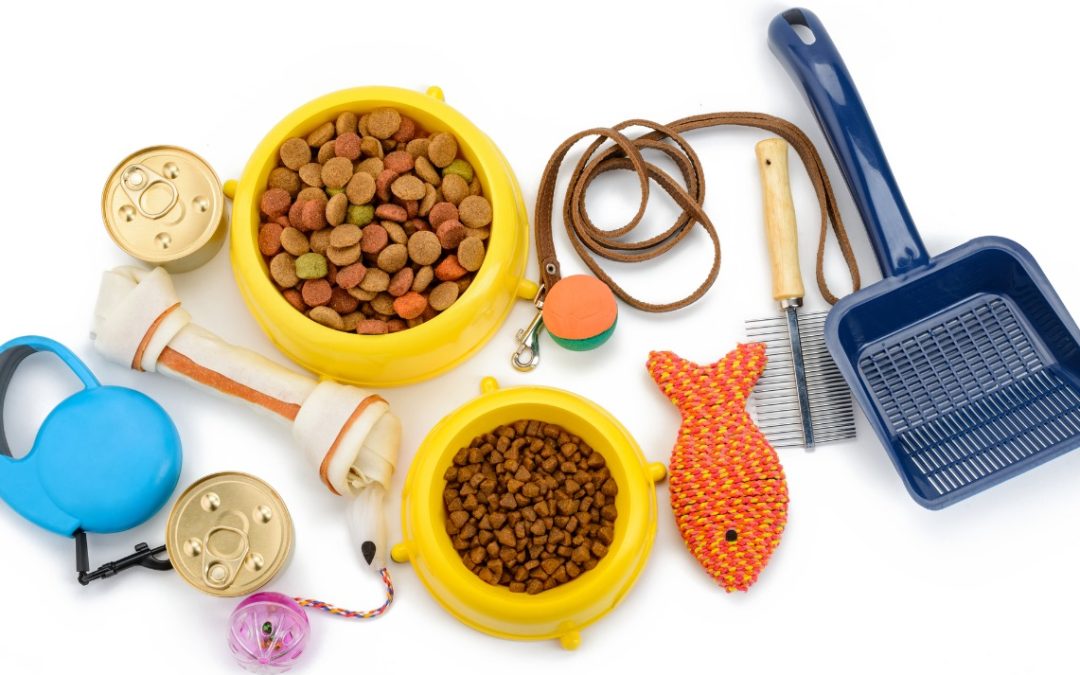 Top 10 Must Have Products for Any Pet Parent