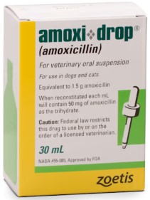 amoxi-drop