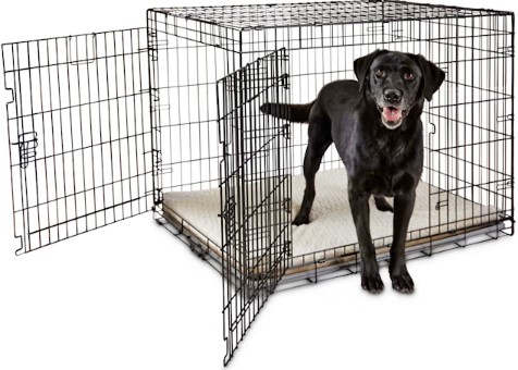 everyyay-happy-place-2-door-dog-crate