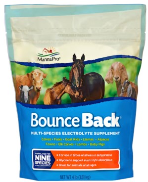 manna-pro-bounce-back manna-pro-bounce-back