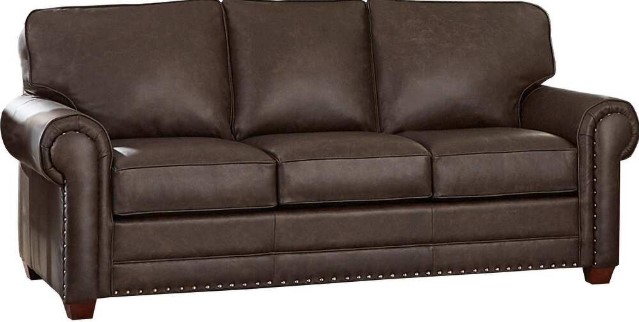 Made-in-USA-Raval-Top-Grain-Leather-Sofa-Bed