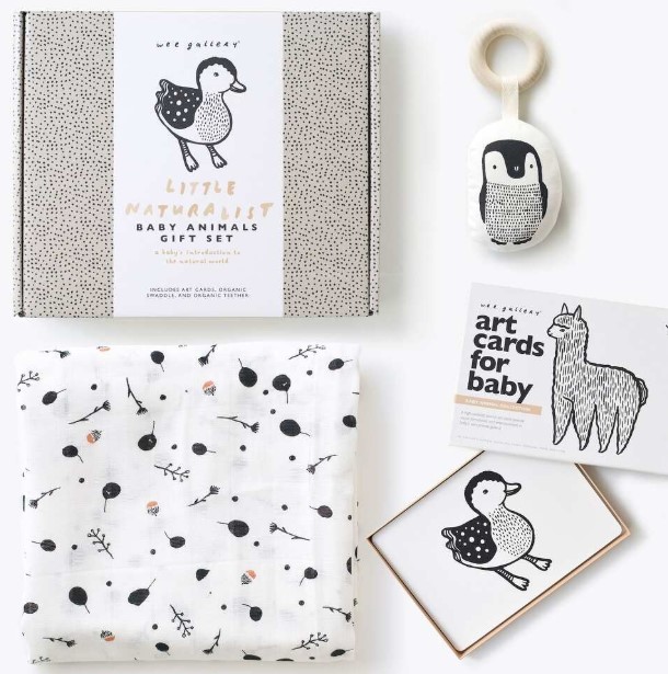 amazon-kindle-6-e-reader-2024