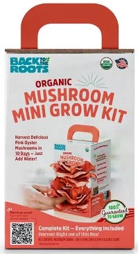 back-to-the-roots-organic-mushroom-mini-grow-kit-pink-oyster