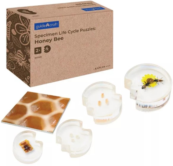 kaplan-early-learning-specimen-life-cycle-puzzles-honey-bee