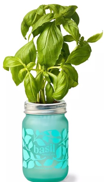 bond-37-in-9-tine-steel-fan-rake-steel-handle