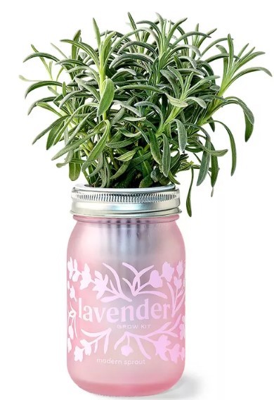 rotoshovel-handheld-electric-garden-hand-trowel