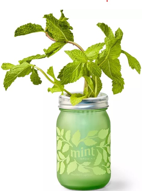 greenworks-powerall-12-34-24v-cordless-string-trimmer-edger-kit-with-2-0ah-battery-38-charger