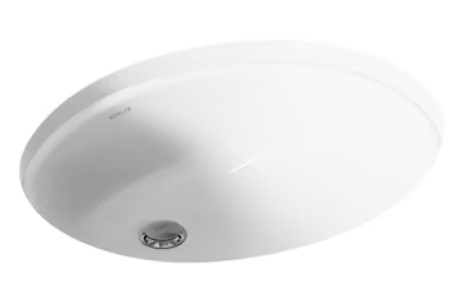 KOHLER-Caxton-White-Undermount-Oval-Bathroom-Sink-with-Overflow-Drain national-geographic-kids-dangerous-dinosaurs-sound-book-by-pi-kids-mixed-media-product