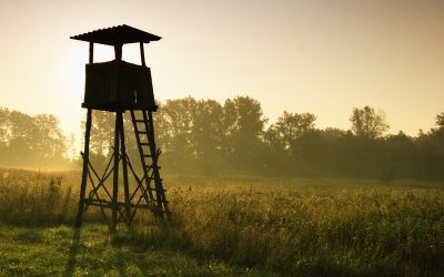 Whitetails to Waterfowl: 10 Picks That Track With Every Hunt