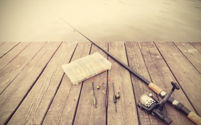 Reel Obsession: Smart Picks for the All-Day, Everyday Fisherman