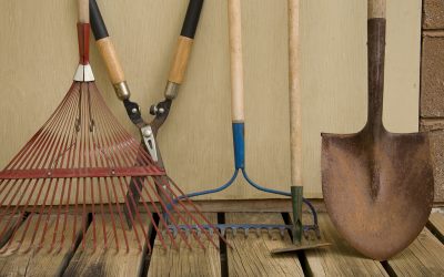 Beginner-Friendly Gardening Tools You’ll Actually Use