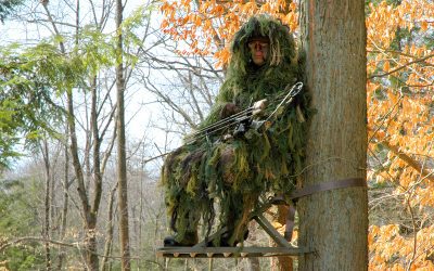 From Tree Stand to Tagging Out: Essentials That Earn Their Keep