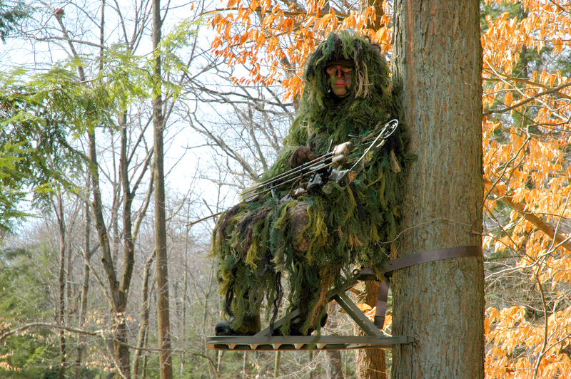 From Tree Stand to Tagging Out: Essentials That Earn Their Keep