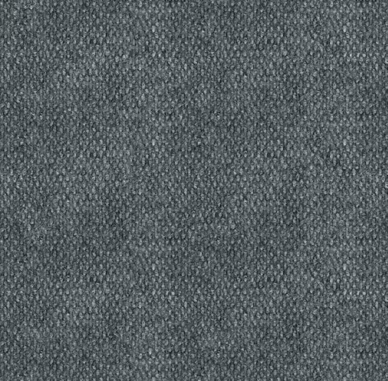 Home-Office-Papago-12-ft-Needlebond-Smoke-Interior-Exterior-Carpet national-geographic-kids-dangerous-dinosaurs-sound-book-by-pi-kids-mixed-media-product