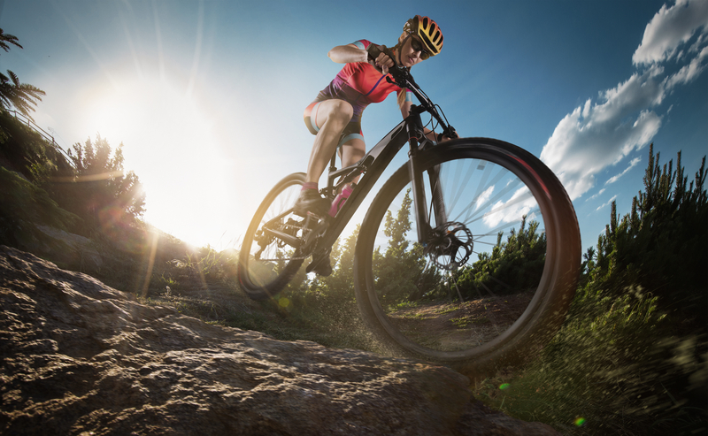 Top 10 Mountain Bike Brands You Should Know About