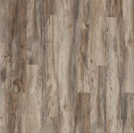 STAINMASTER-PetProtect-Forest-City-Pine-12-mm-T-x-7-1-2-in-W-x-47-1-4-in-L-Waterproof-Wood-Plank-Laminate-Flooring-22-09-sq-ft national-geographic-kids-dangerous-dinosaurs-sound-book-by-pi-kids-mixed-media-product