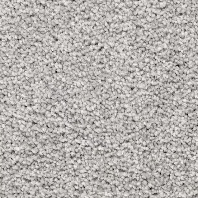 STAINMASTER-PetProtect-Sample-Splendid-Option-I-Winter-Sky-Textured-Indoor-Carpet disney-junior-mickey-mouse-clubhouse-sing-along-songs-sound-book-by-pi-kids-mixed-media-product