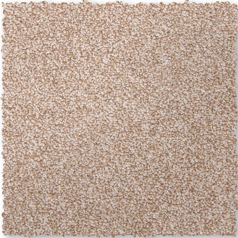 STAINMASTER-Sample-Compelling-Choice-I-Caf-Cream-Textured-Indoor-Carpet disney-junior-mickey-mouse-clubhouse-sing-along-songs-sound-book-by-pi-kids-mixed-media-product
