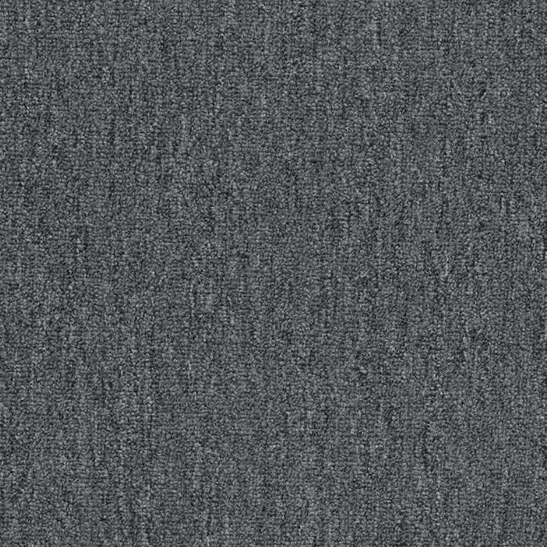 Shaw-Sample-Lancaster-RR-Granite-Berber-Loop-Indoor-Carpet disney-junior-mickey-mouse-clubhouse-sing-along-songs-sound-book-by-pi-kids-mixed-media-product