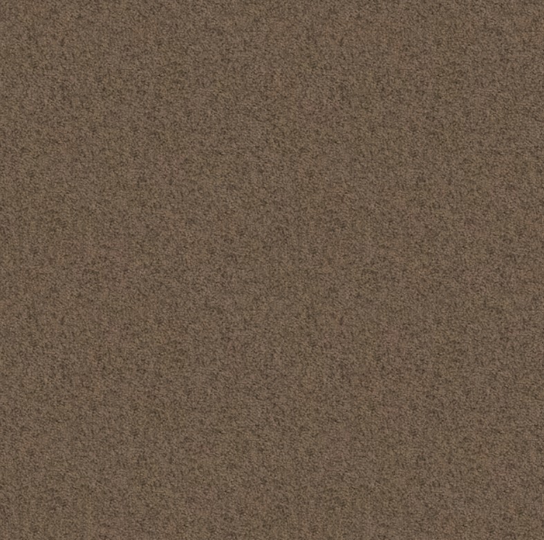 Style-Selections-Believer-Canoe-Brown-14-6-oz-sq-yard-Polyester-Textured-Indoor-Carpet crayola-24ct-kids-crayons