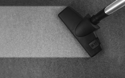 Vacuums That Don’t Suck (Except at Cleaning): Top 10 You’ll Love